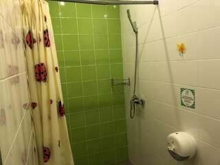 Хостелы Dream Hostel Zaporizhia Запорожье Двухместный номер с 1 кроватью и собственной ванной комнатой-10